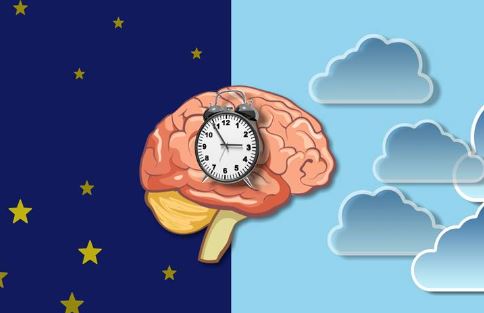 Erken Saatte Ders Çalışmak Neden Faydalıdır?