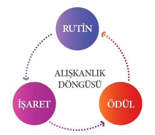 Yeni Bir Alışkanlık 30 Günde Nasıl Kazanılır? Gençler İçin Bilimsel ve Uygulanabilir Rehber