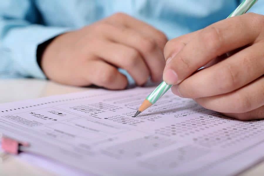 Seviye Belirleme Sınavı Neden Önemlidir? Yeni Eğitim Dönemine Güçlü Bir Başlangıç
